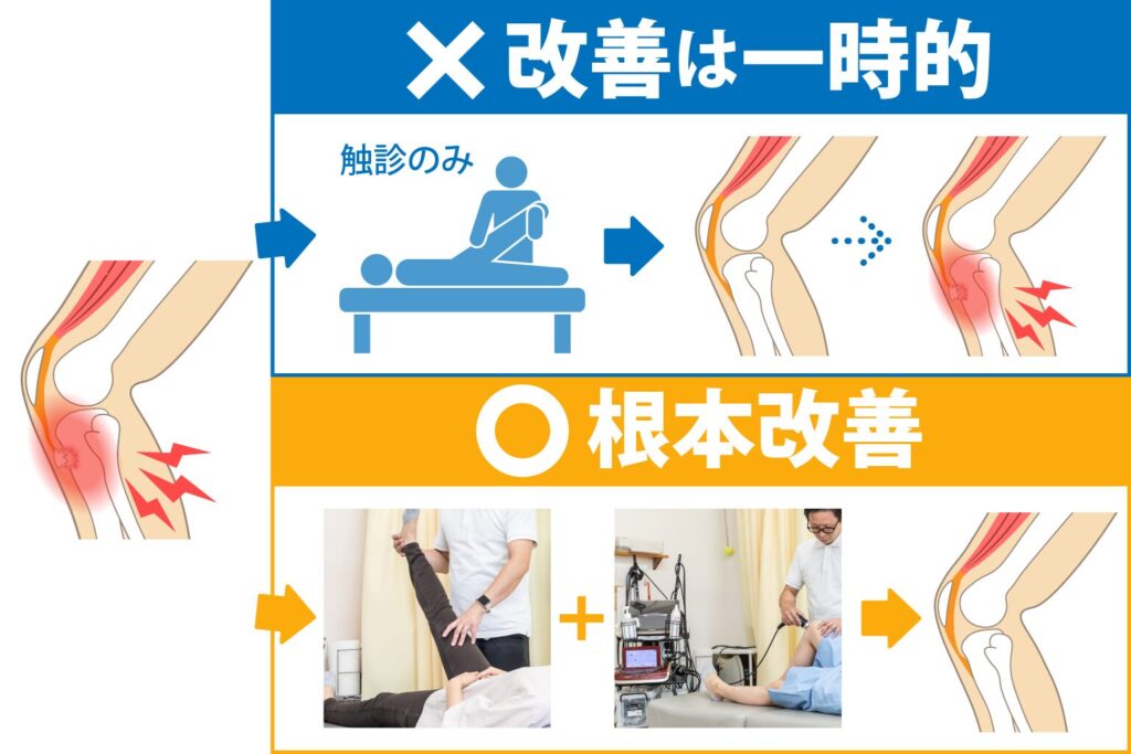 hanaike-osgood_img04